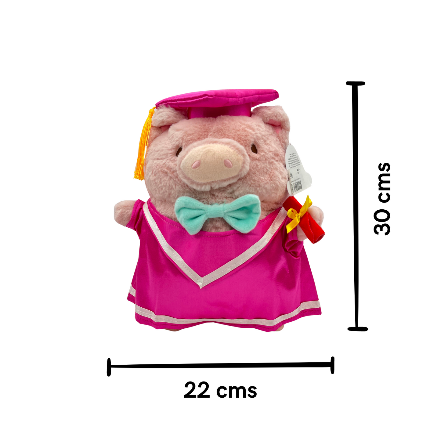 Peluche Cerdito Graduado Rosa