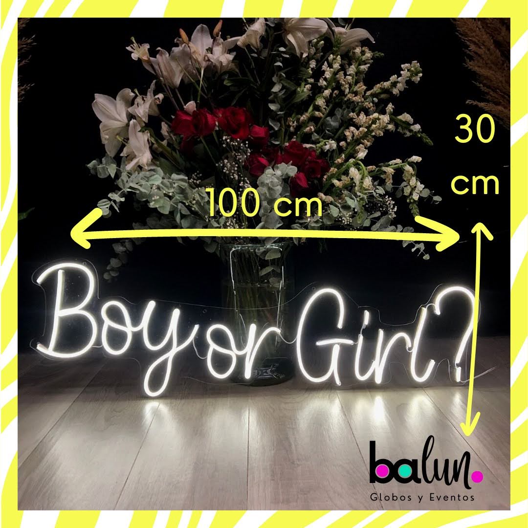 "Boy or Girl?" (Renta Letrero Neón)