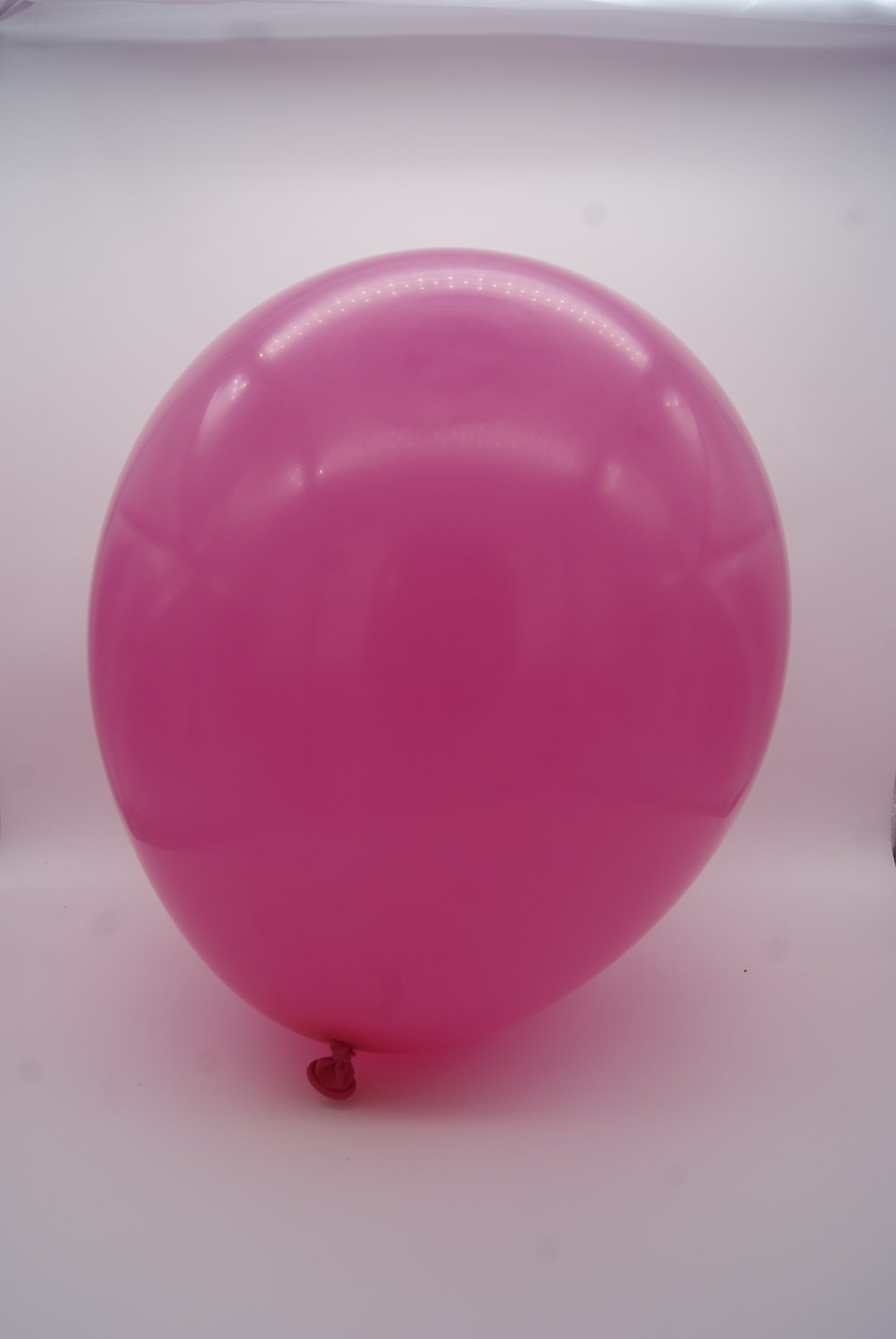 Fashion Fucsia 12" (Bolsa 50pzs) Sempertex