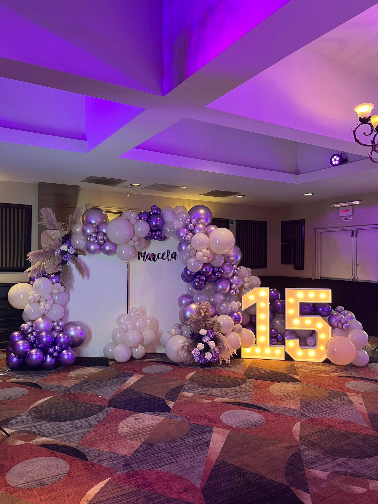 Set de 2 Mamparas XV