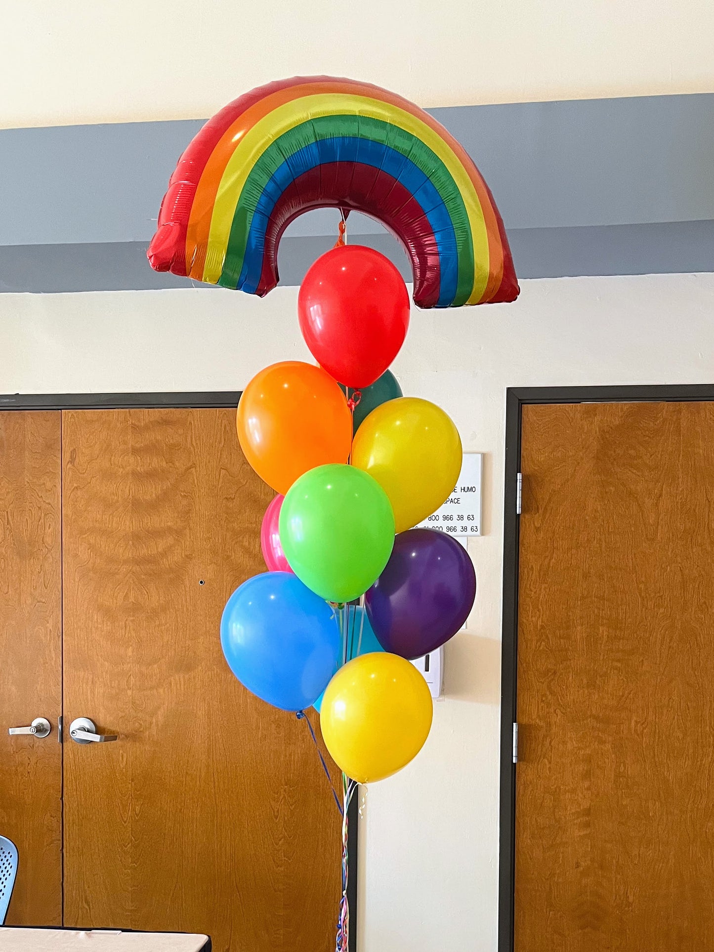 Arcoíris + Ramillete de 10 Globos Látex