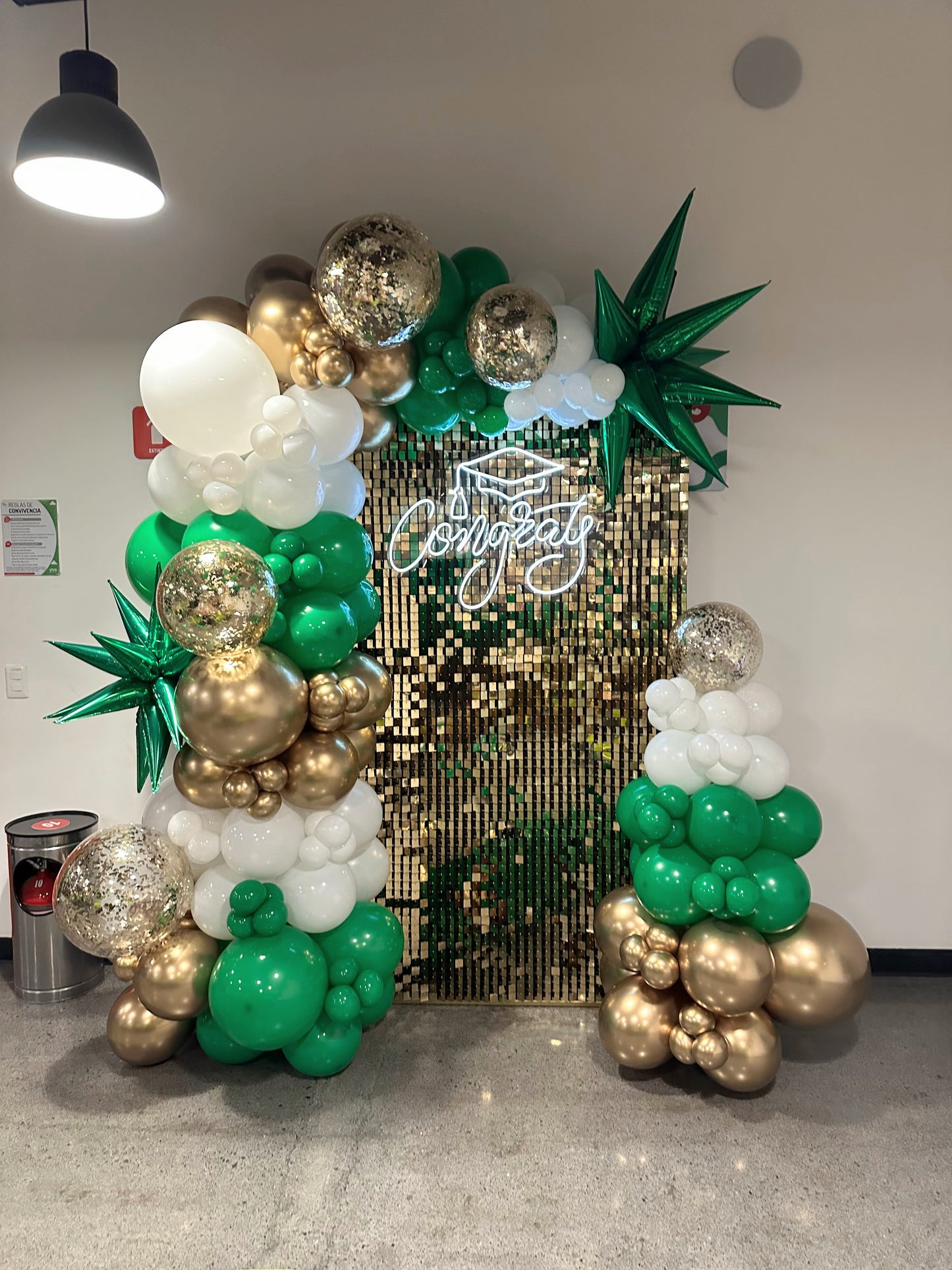 Shimmer con Estrellas GRAD