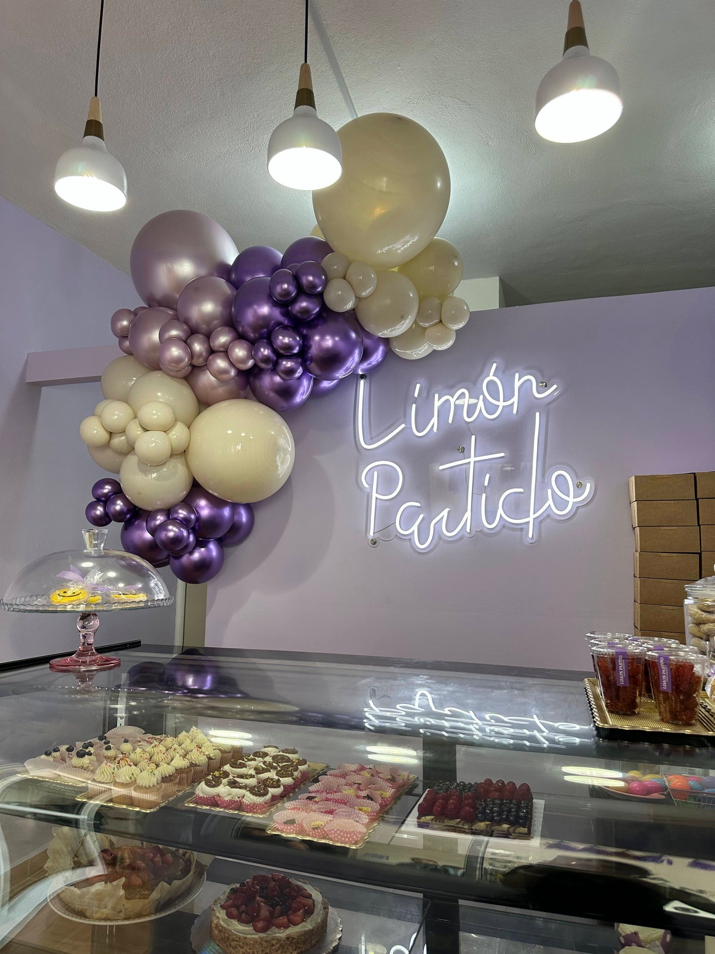 Guirnalda de Globos Morada