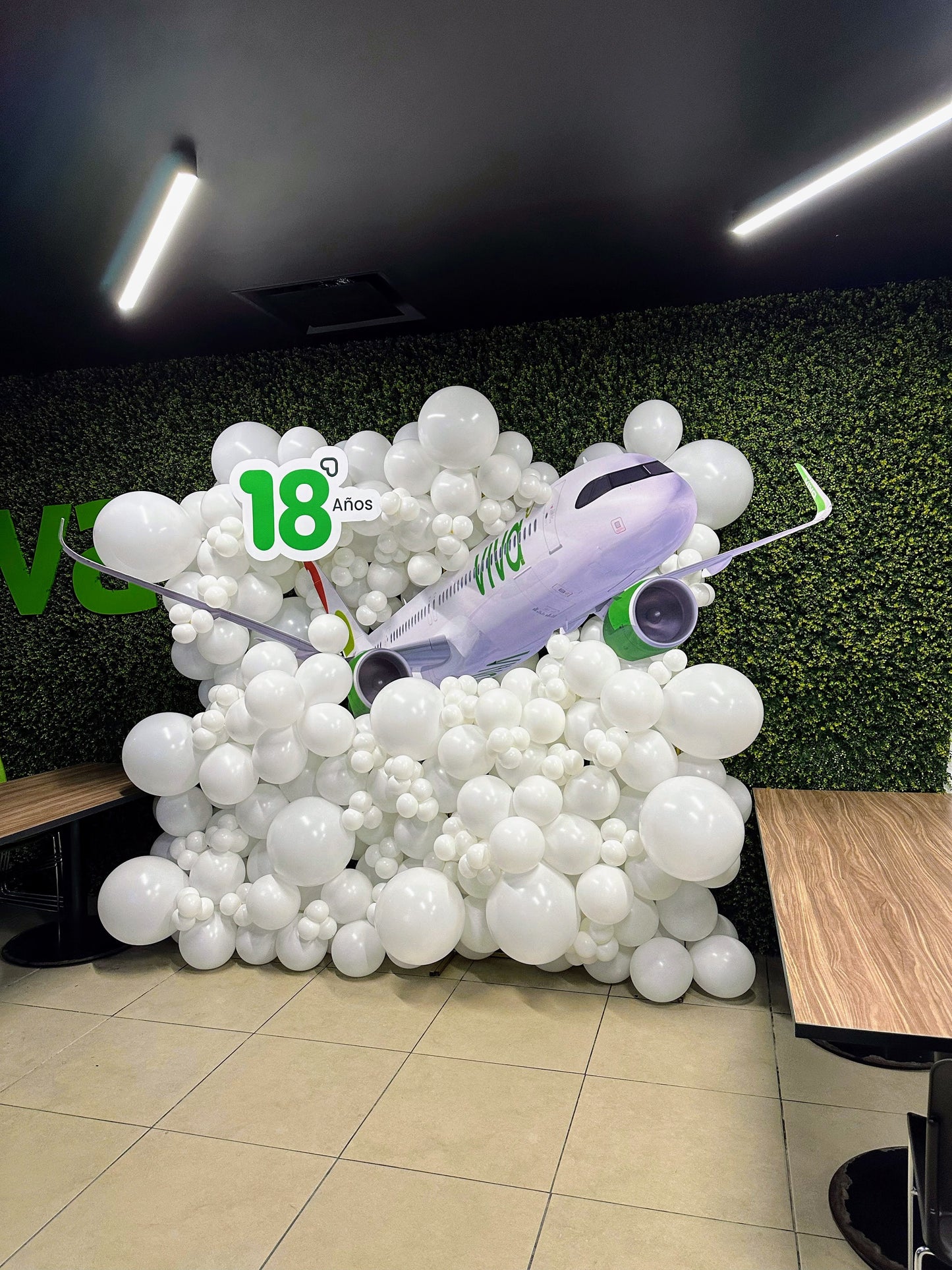 Pared de Globos "Nubes" + Avión Jumbo