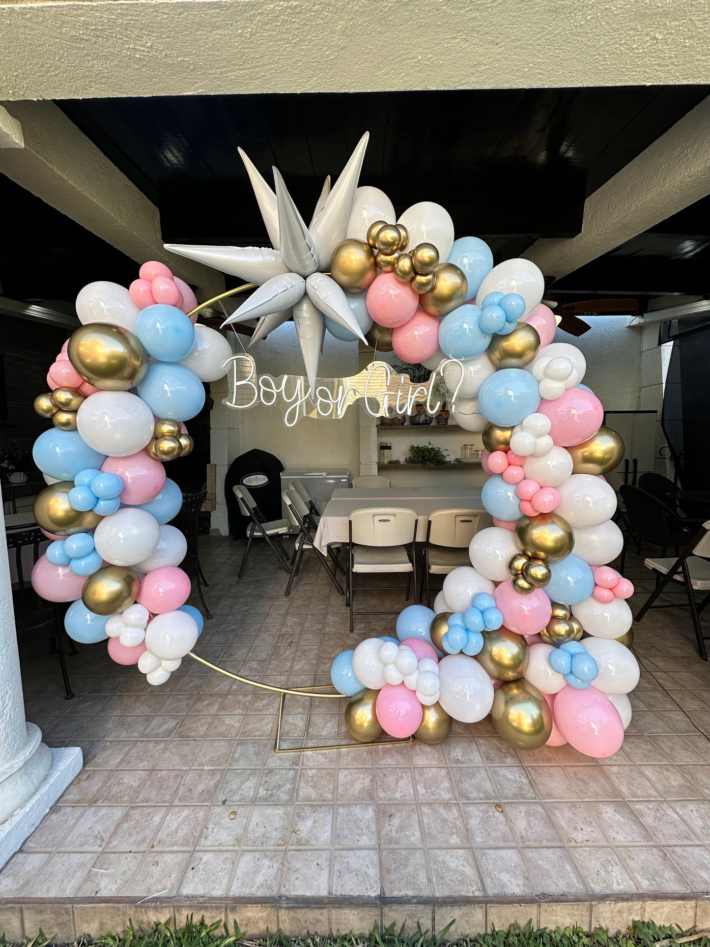 Aro Boy or Girl? Gender Reveal