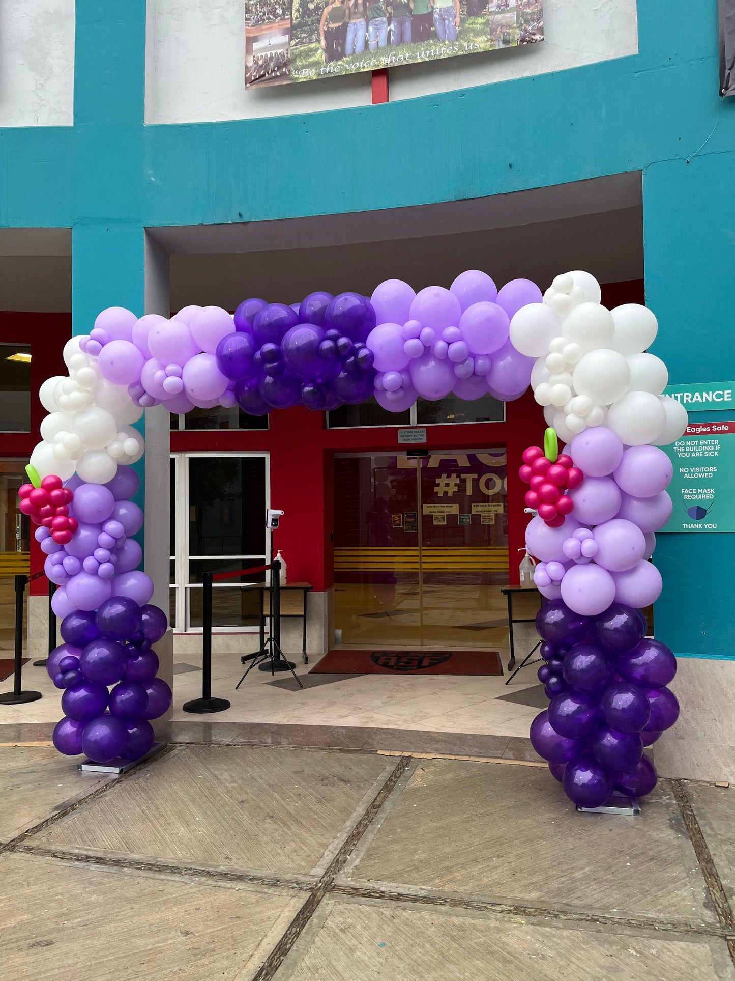 Marco de Globos Temática Uvas