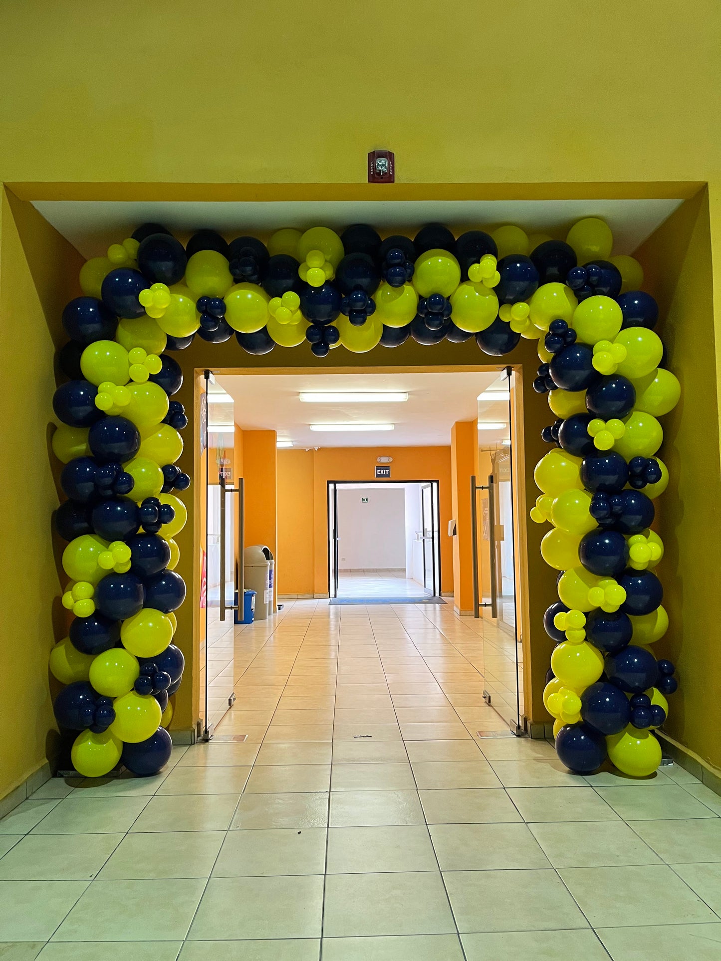 Marco de Globos con Estructura