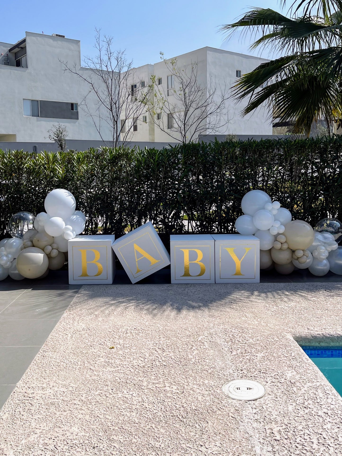 Cubos BABY Gender Reveal + Guirnalda de Globos