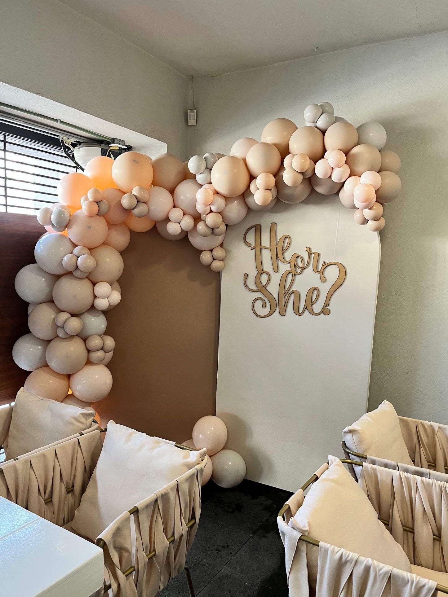Set de 2 Mamparas He or She?