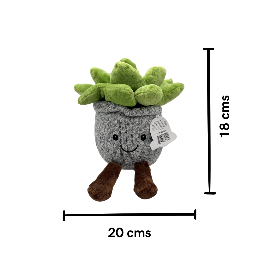 Peluche Suculenta
