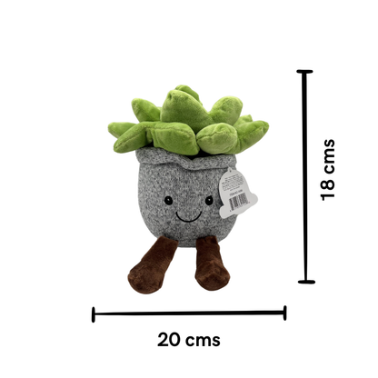 Peluche Suculenta