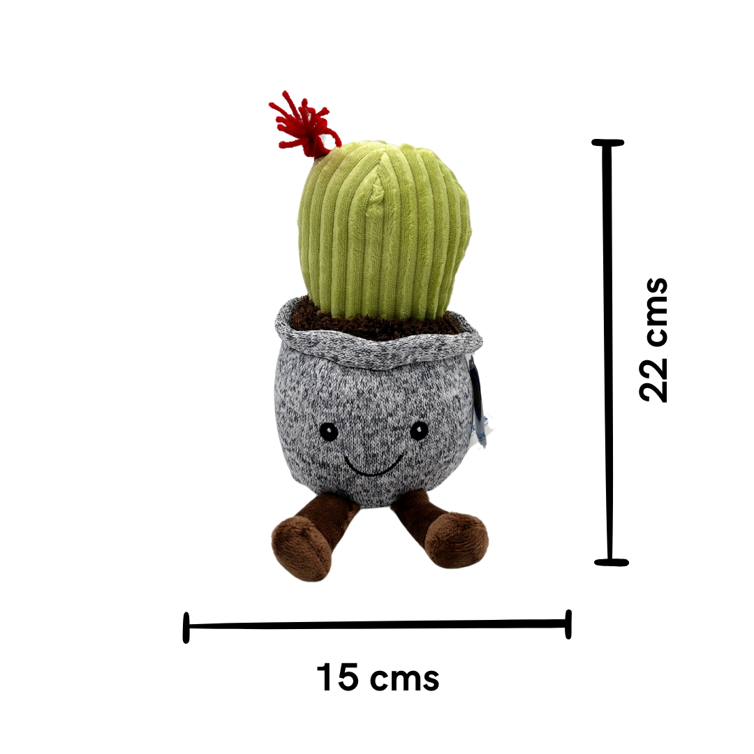 Peluche Cactus
