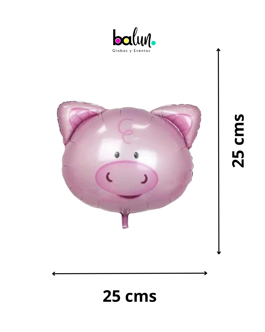Cabeza de Cerdo Mini