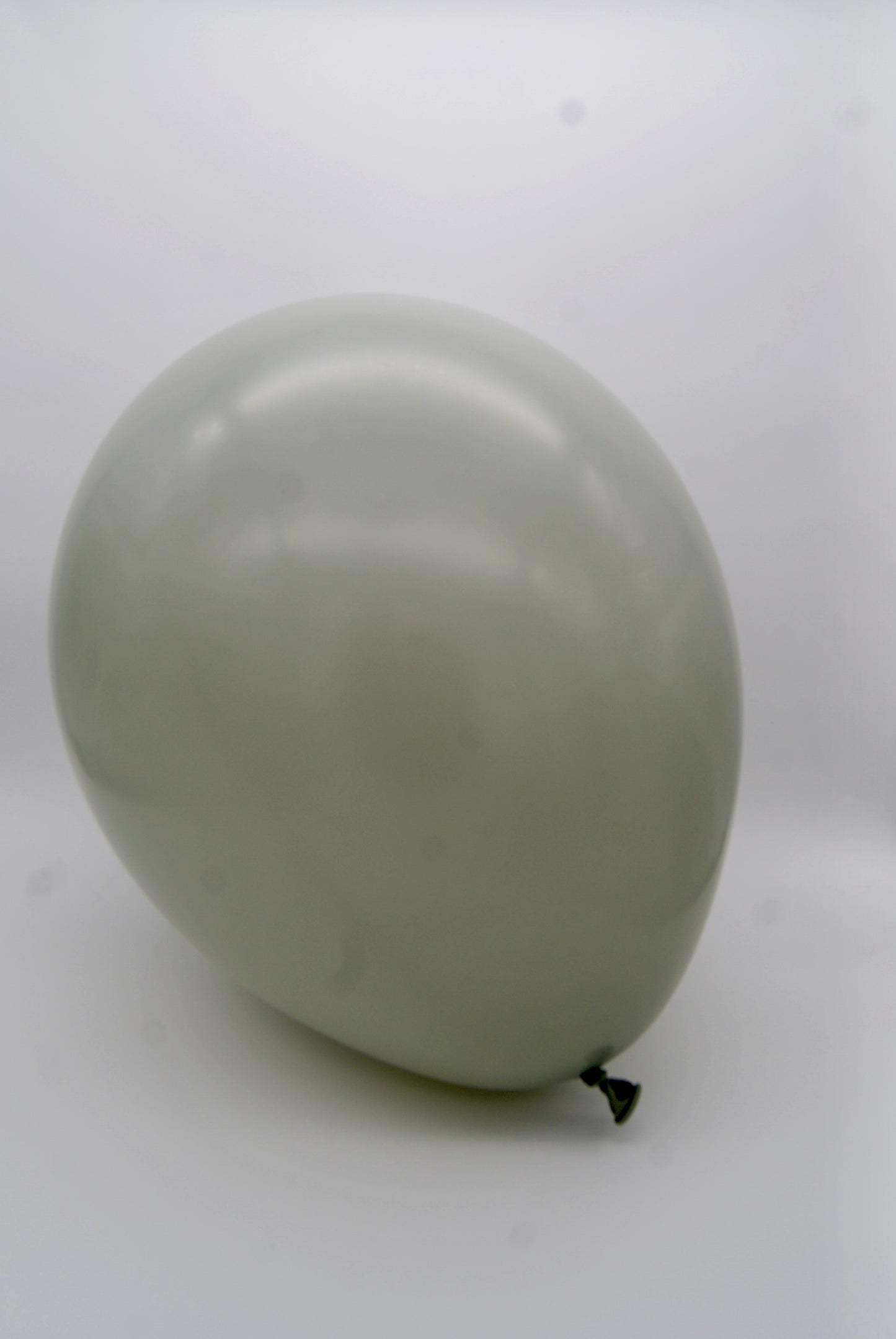 Pastel Dusk Verde Laurel 12" (Bolsa 50pzs) Sempertex