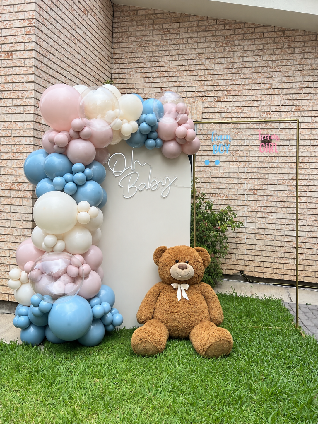 Mampara con Osito + Acrílico para Puntos Gender Reveal