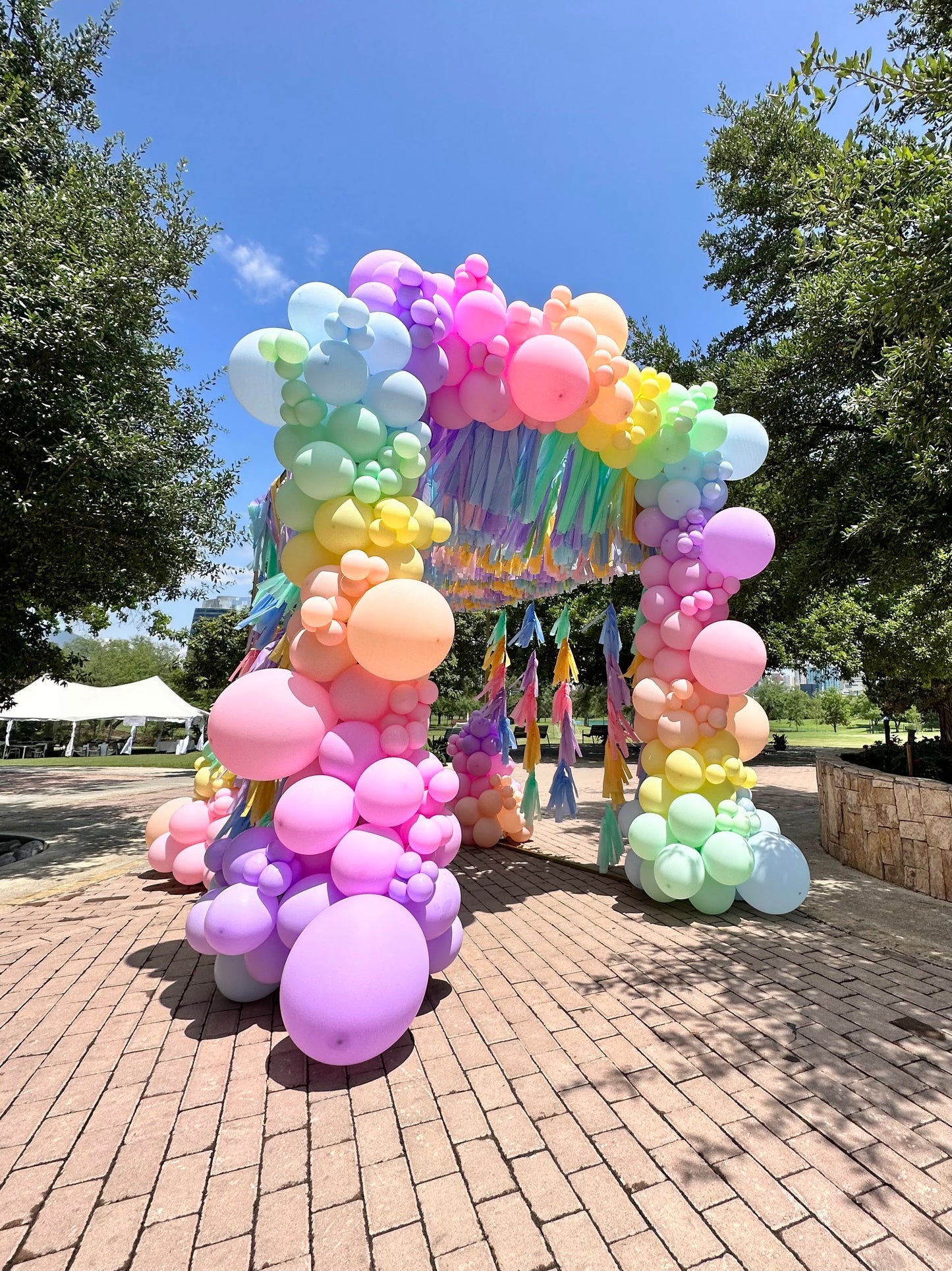 Tunel con Techo de Mechas + Marco de Globos color Pasteles