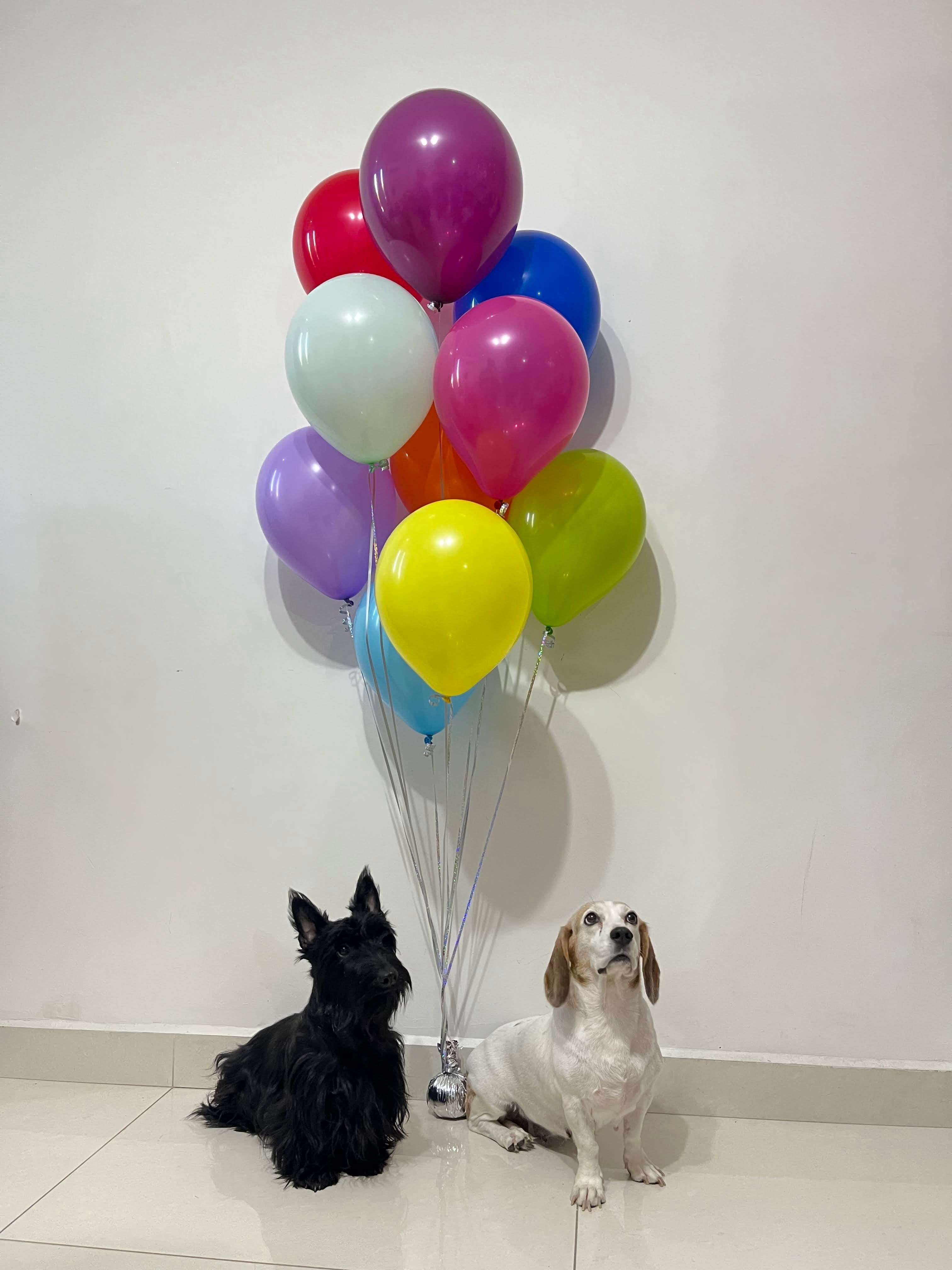 Ramillete de 10 Globos Látex – Balun Globos y Eventos