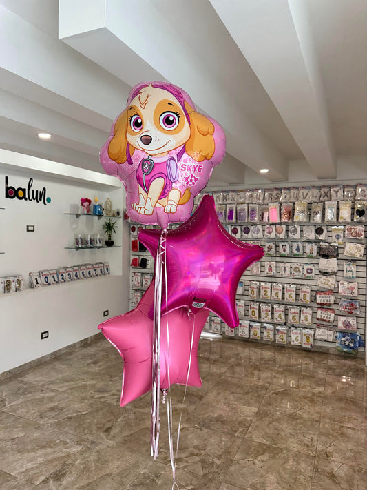 Skye Paw Patroll + 2 Estrellas Metálicas