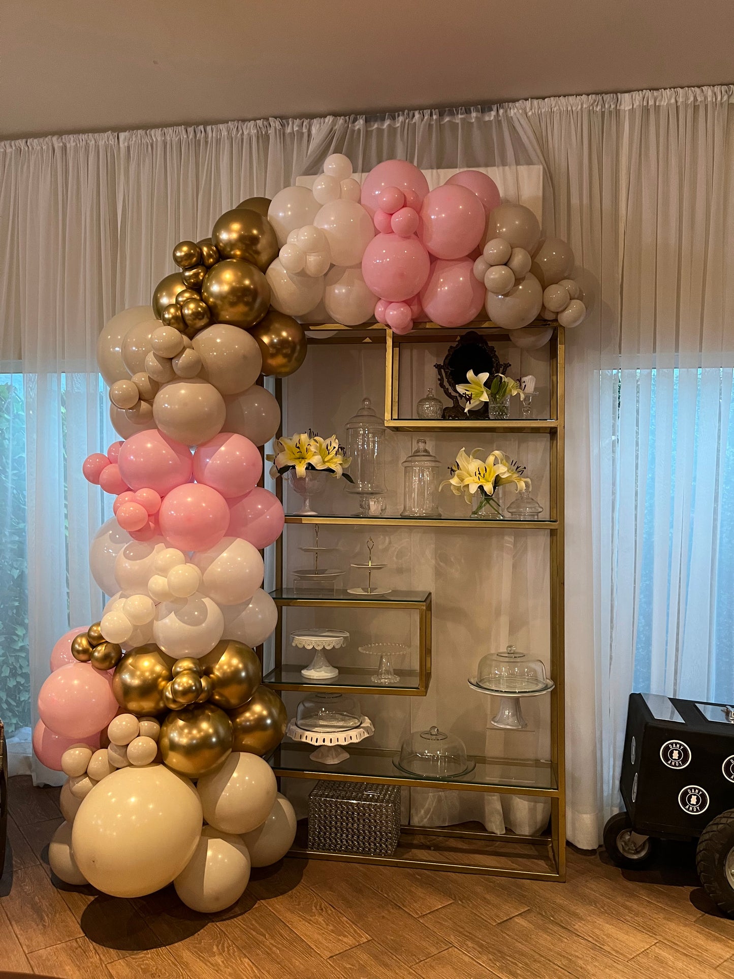 Guirnalda de Globos Rosa