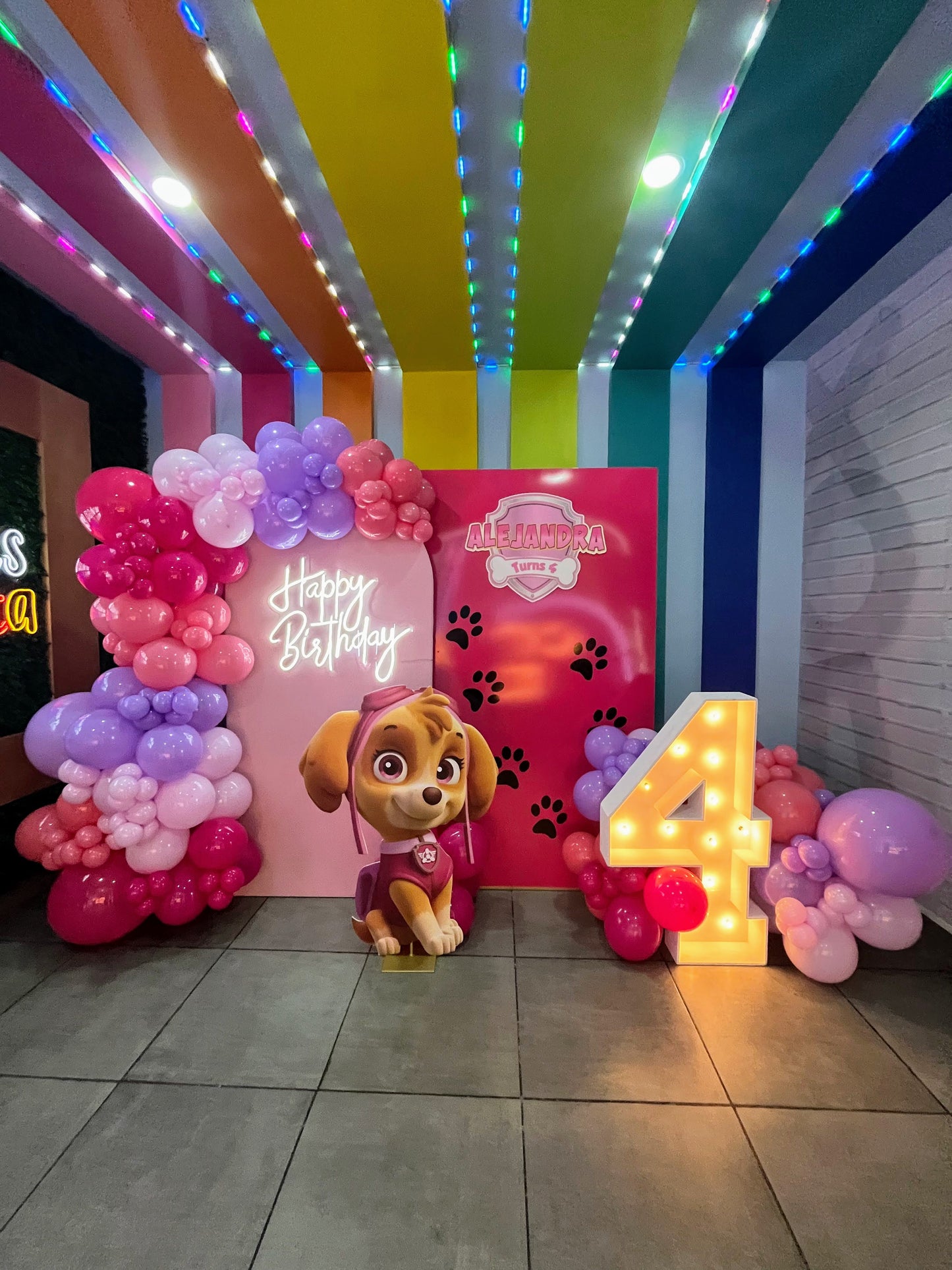 Decoración Temática Paw Patrol Skye