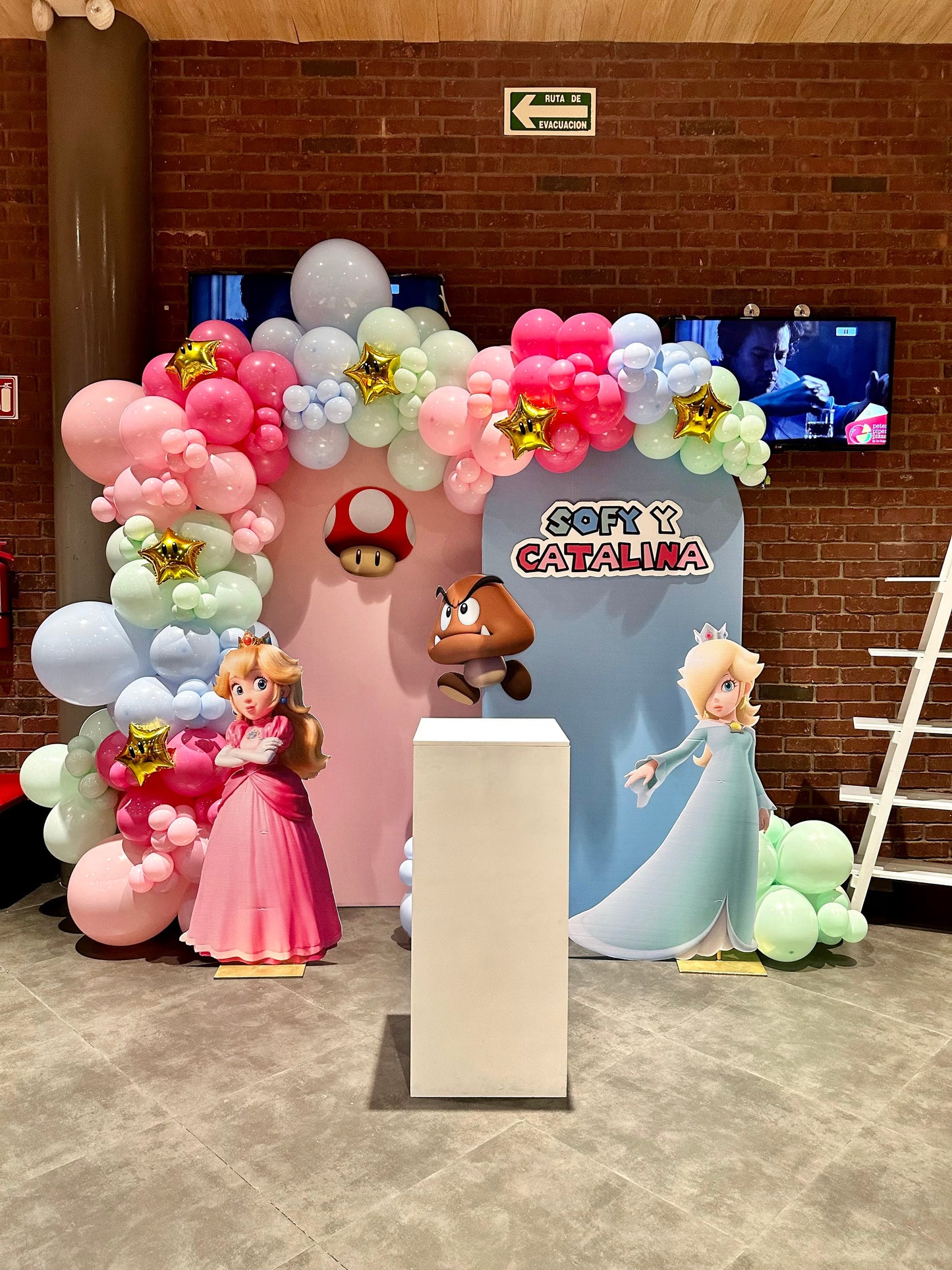 Set de 2 Mamparas Peach & Rosalina Mario Party