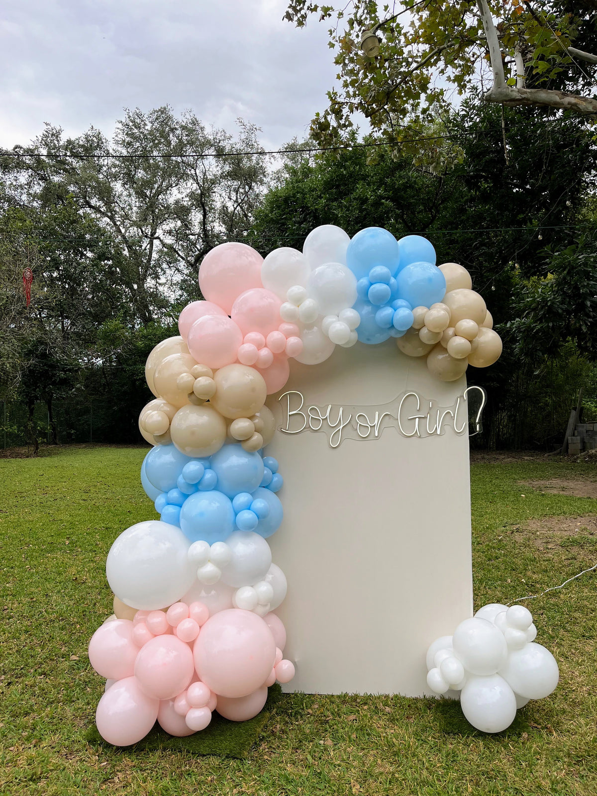 Mampara Gender Reveal