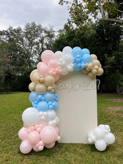 Mampara Gender Reveal