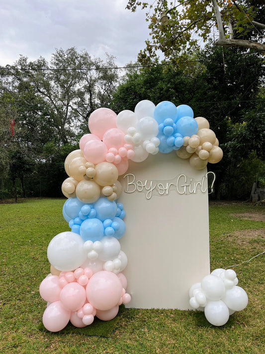 Mampara Gender Reveal