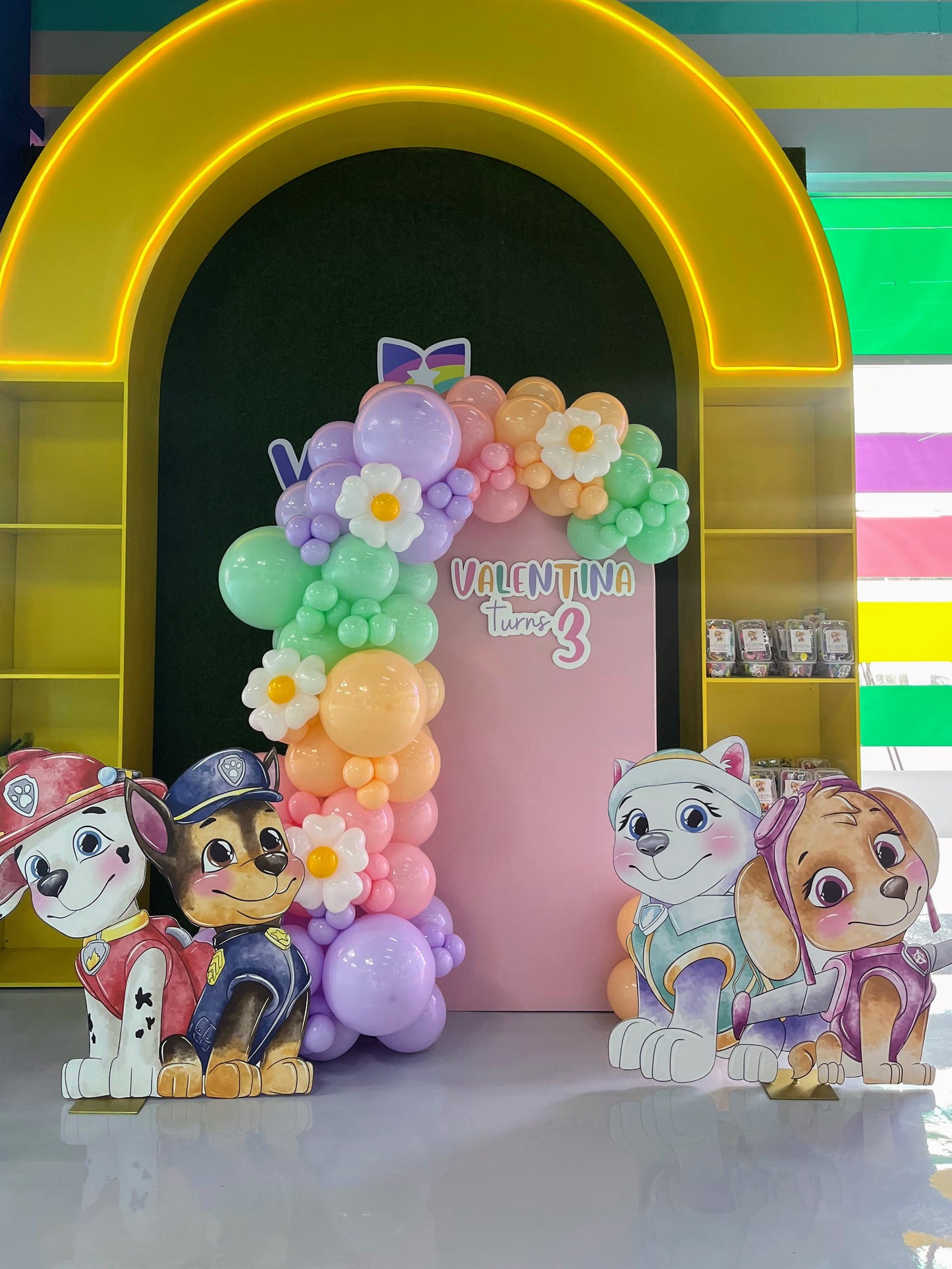Mampara con Personajes Paw Patrol