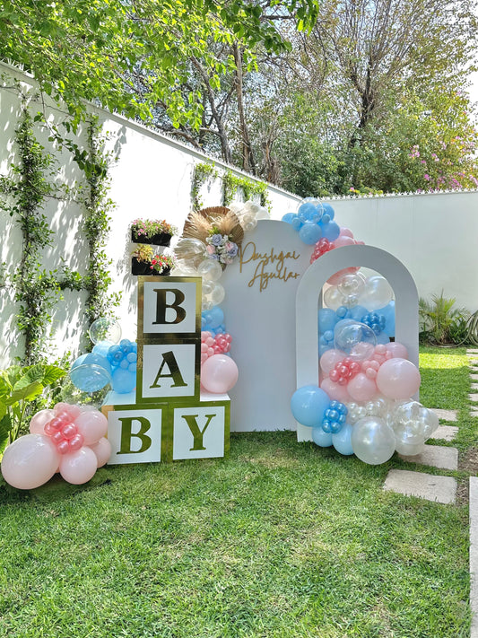 Decoración BABY Gender Reveal